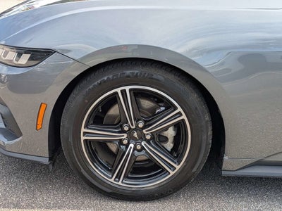2024 Ford Mustang EcoBoost