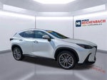 2025 Lexus NX NX 350h Premium