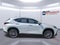 2025 Lexus NX NX 350h Premium
