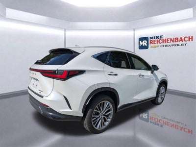 2025 Lexus NX NX 350h Premium