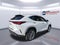 2025 Lexus NX NX 350h Premium