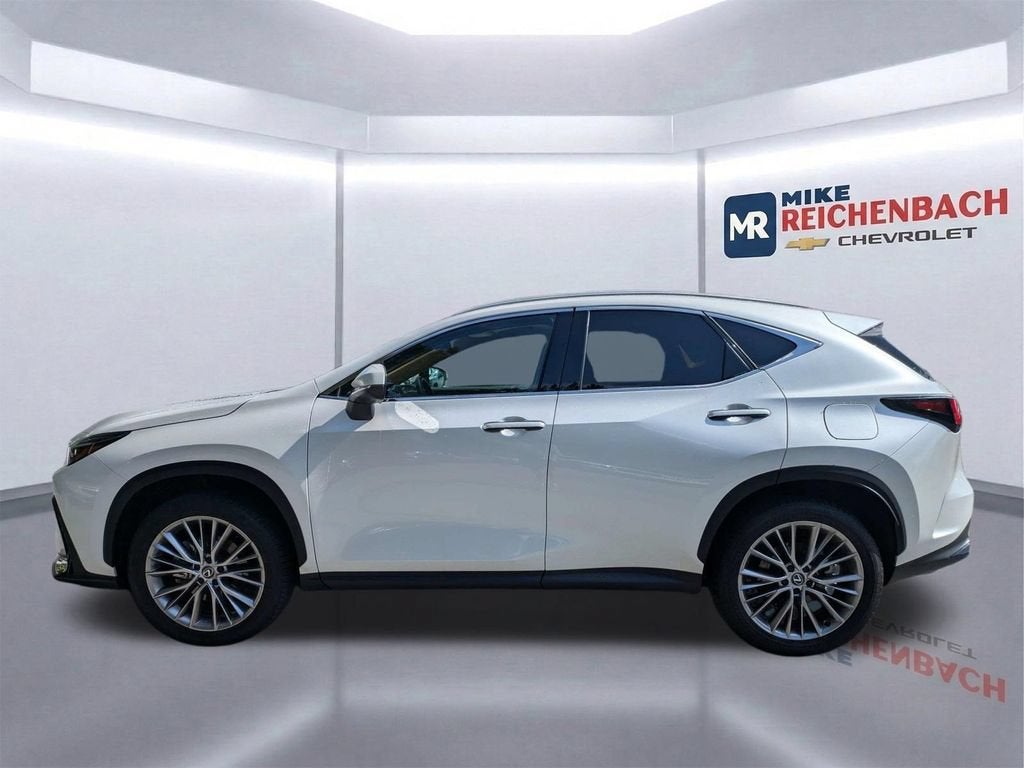 2025 Lexus NX NX 350h Premium