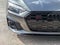 2023 Audi S5 Sportback Prestige