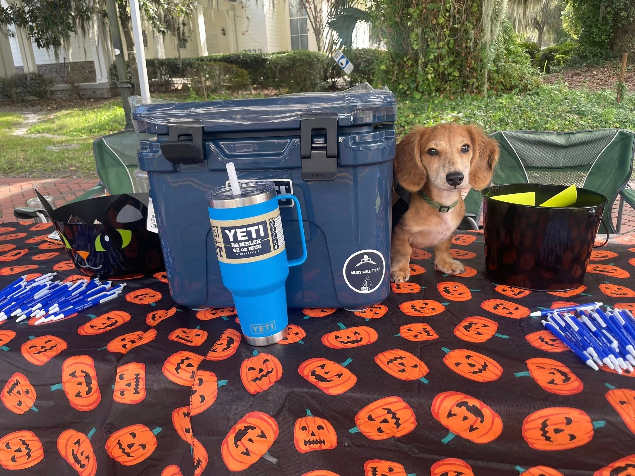 Feeding the Community Carnival Holiday Giveback prizes and dog